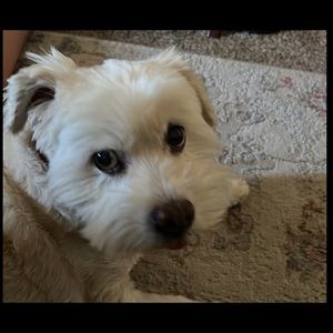 Spring cleaning in the summer😀